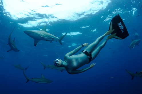 Freediving Glide-fin