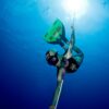 Freediving Glide-fin