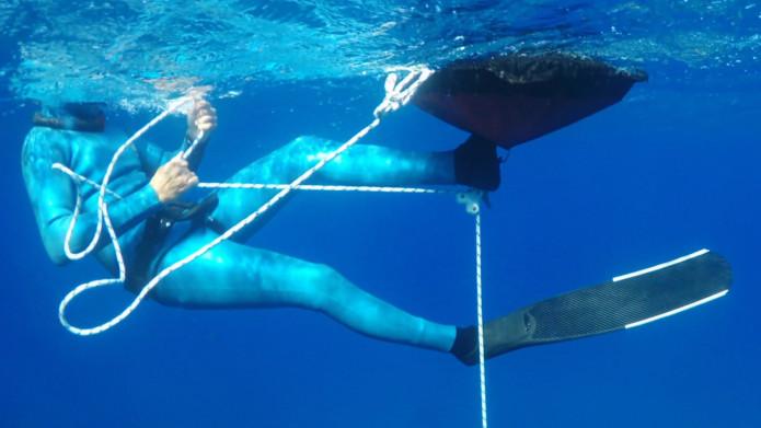 Octopus pulling system